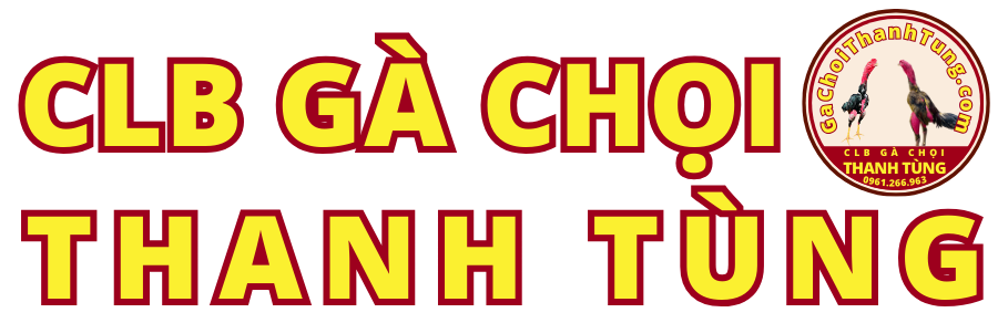 CLB Gà Chọi Thanh Tùng – Phú Yên